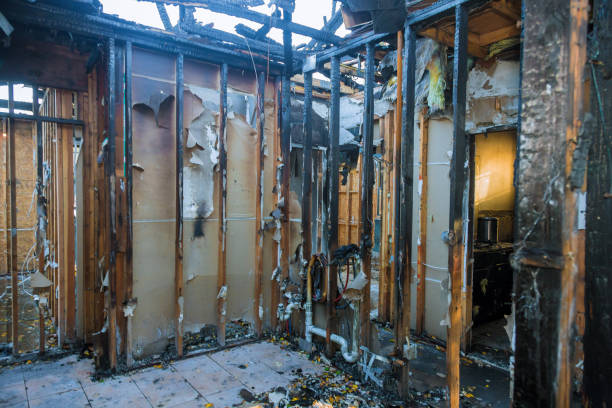 Professional Fire Damage Assessment technician working in Elkhorn, CA
